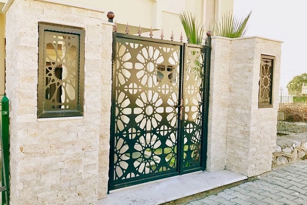 Saray Demirci